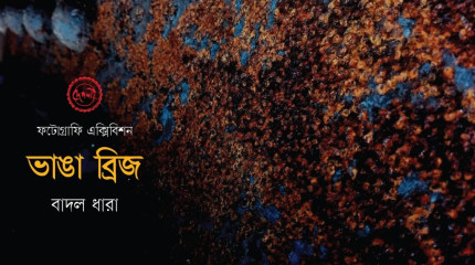 ফটোগ্রাফি : ভাঙ্গা ব্রীজ