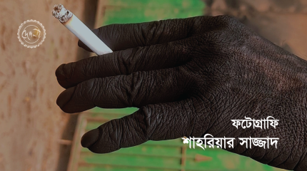 ফটোগ্রাফি